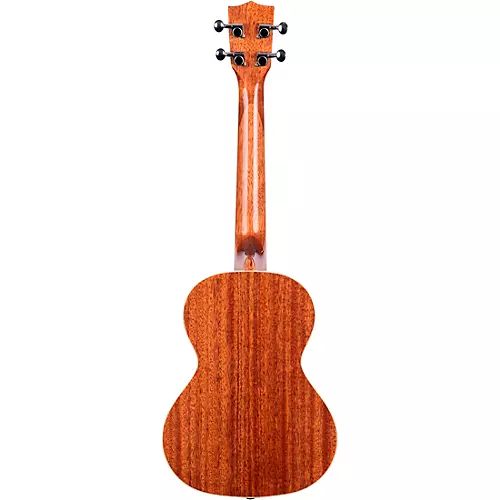 Kala KA-TG Tenor Gloss Ukulele - musicians--Friend