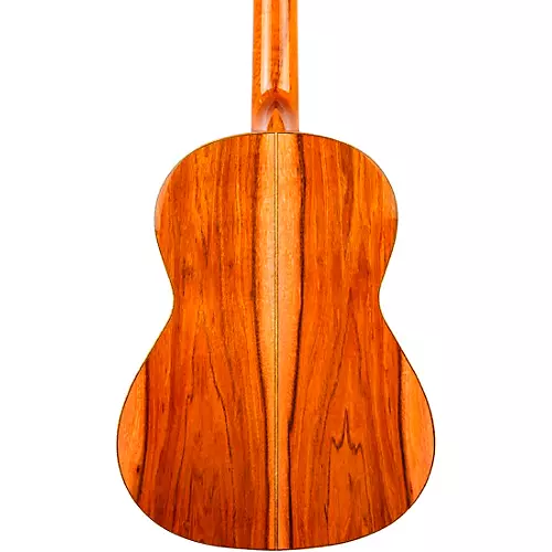 Kremona Rosa Artista Flamenco Acoustic Guitar Natural - musicians--Friend