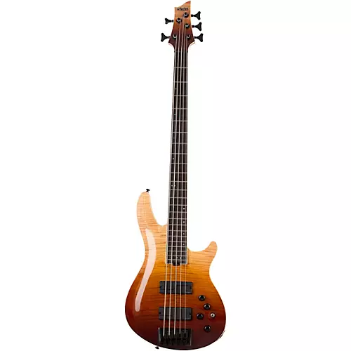 Schecter Guitar Research SLS Elite-5 5-String Electric Bass Antique Fade Burst - musicians--Friend