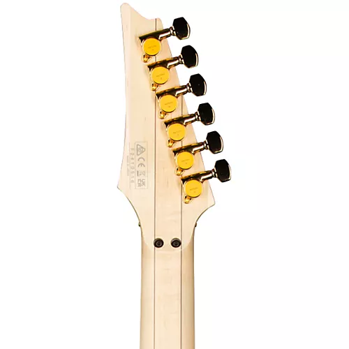 Ibanez PIA3761 Steve Vai Signature Electric Guitar Onyx - musicians--Friend