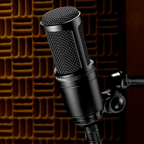 Audio-Technica AT2020 Large-Diaphragm Condenser Microphone - musicians--Friend