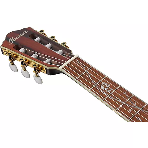 Ibanez TOD10N Tim Henson Signature Nylon Acoustic-Electric Guitar Black Flat - musicians--Friend