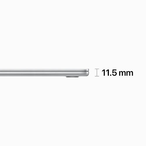 Apple 15