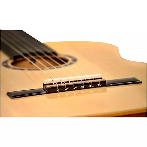 Ortega DSSUITE-C/E Nylon Acoustic-Electric Guitar Tobacco Brown Sunburst - musicians--Friend