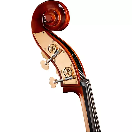 Bellafina Musicale Series Bass Outfit 3/4 Size - musicians--Friend