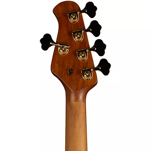 Ernie Ball Music Man StingRay5 Special HH 5-String Electric Bass Guitar Genius Gold - musicians--Friend