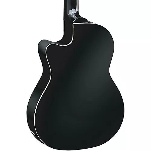 Ortega Family Series Pro RCE145BK Thinline Acoustic-Electric Nylon Guitar Gloss Black - musicians--Friend