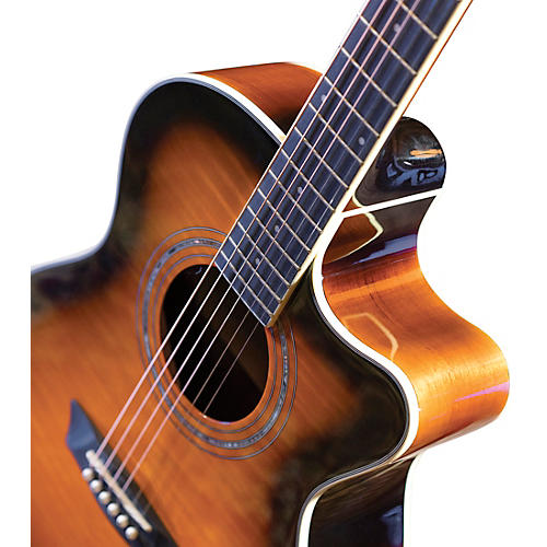 Washburn EA15 Festival Series Acoustic-Electric Guitar Iced Tea Burst - musicians--Friend