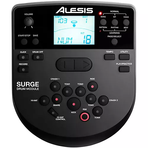 Alesis Surge Mesh Kit Special Edition - musicians--Friend