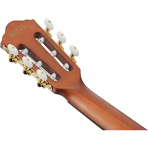 Ibanez FRH10N Nylon-String Acoustic-Electric Guitar Rose Gold Metallic Flat - musicians--Friend
