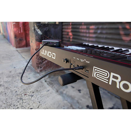 Roland JUNO-D6 Synthesizer - musicians--Friend
