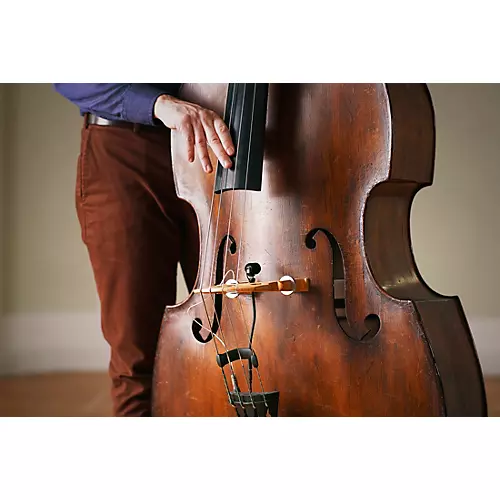 Neumann MC 3: String Clip for MCM Miniature Clip Microphone System: Double Bass - musicians--Friend