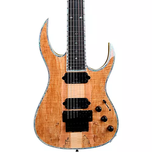 B.C. Rich Shredzilla 7 Prophecy Archtop with Floyd Rose 7-String Electric Guitar Spalted Maple - musicians--Friend