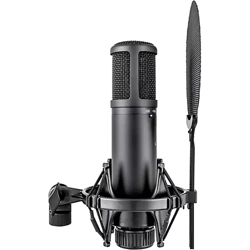 sE Electronics sE2200 Large-Diaphragm Condenser Microphone - musicians--Friend
