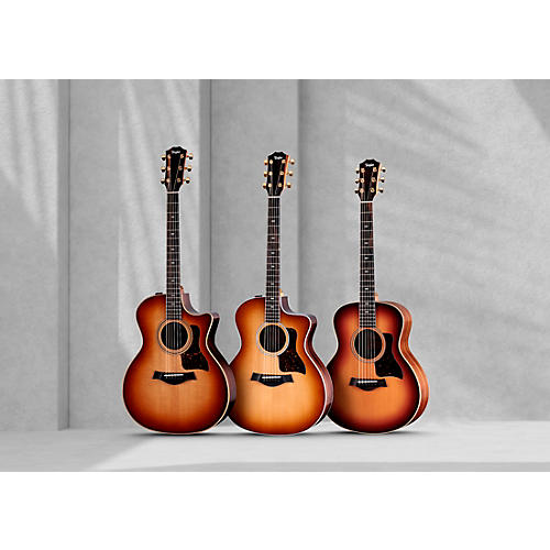 Taylor 214ce DLX Sunset Blvd Grand Auditorium Acoustic-Electric Guitar Sunset Edgeburst - musicians--Friend