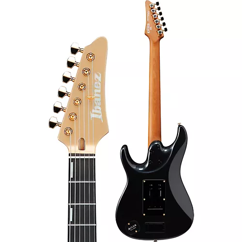 Ibanez Scott LePage Signature Electric Guitar - musicians--Friend