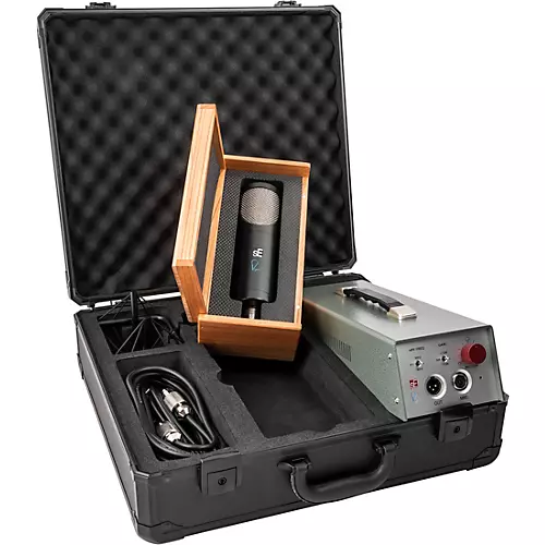 sE Electronics RNT Tube Microphone - musicians--Friend