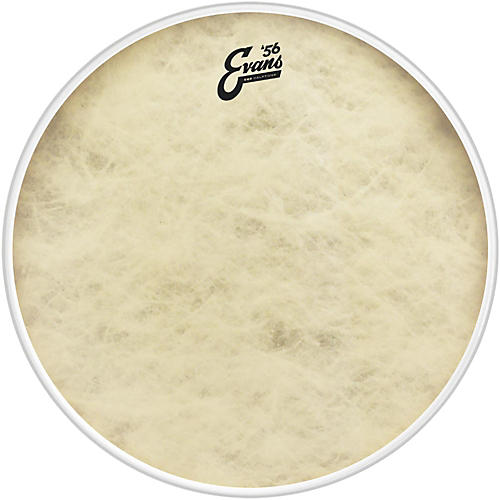 EVANS EQ4 Calftone Bass Drum Head 20 in. - musicians--Friend