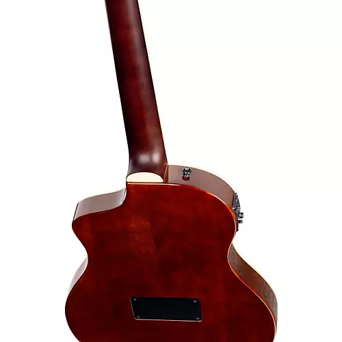 Ortega RTPDLX Acacia Nylon-String Acoustic-Electric Guitar Tobacco Burst - musicians--Friend