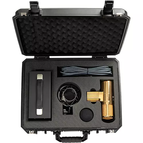 Open-Box Warm Audio WA-8000G Large-Diaphragm Tube Condenser Microphone Condition 1 - Mint Gold - musicians--Friend