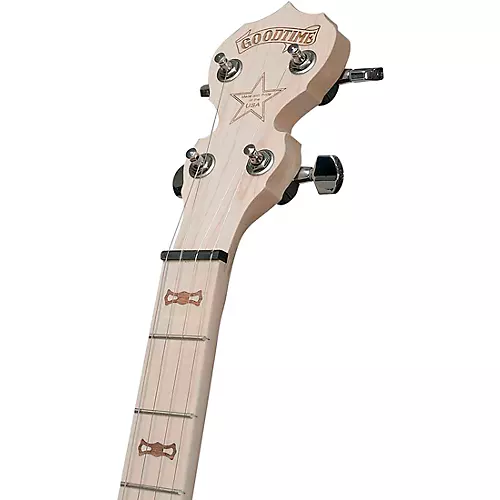 Deering Goodtime 2 Nickel Banjo - musicians--Friend
