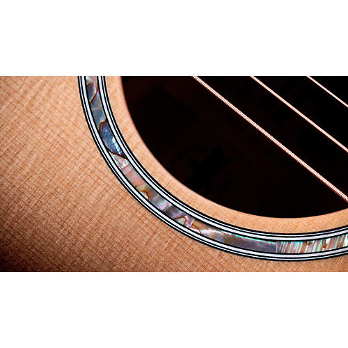 Taylor Custom Sitka Spruce-Big Leaf Maple Grand Auditorium Acoustic-Electric Guitar Cranberry Edgeburst - musicians--Friend