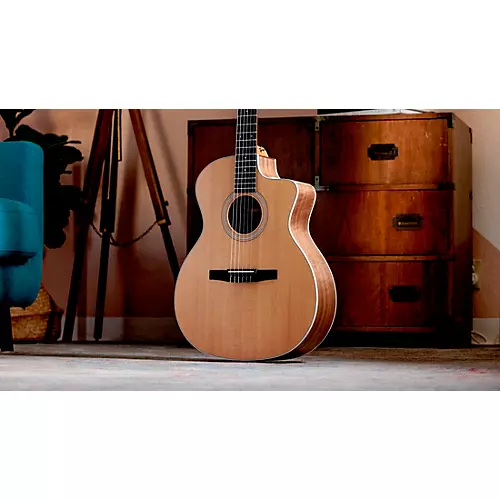 Taylor 214ce-N Grand Auditorium Nylon-String Acoustic-Electric Guitar Natural - musicians--Friend