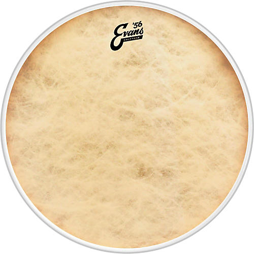 EVANS Calftone Bass Drum Head 18 in. - musicians--Friend