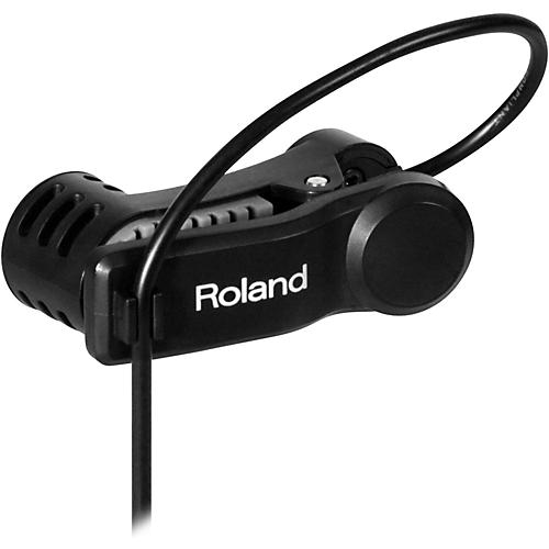 Roland ELCajon Mic Processor - musicians--Friend
