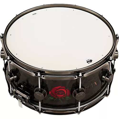 DW Alex Gonzalez Icon Snare Drum 14 x 6.5 in. - musicians--Friend