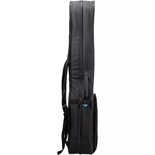 Reunion Blues RBX Double Electric Bass Guitar Gig Bag - musicians--Friend
