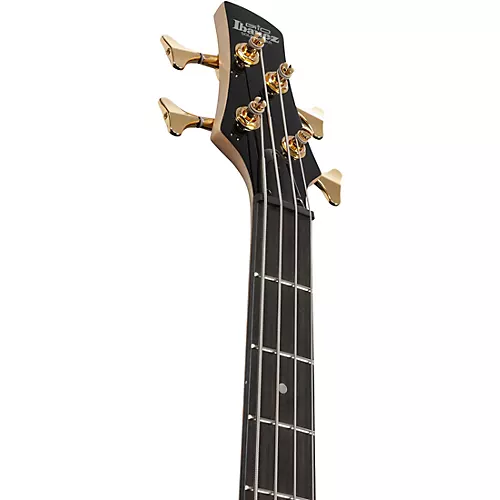 Ibanez GSR200PC 4-String Electric Bass Guitar Transparent Marine Burst - musicians--Friend