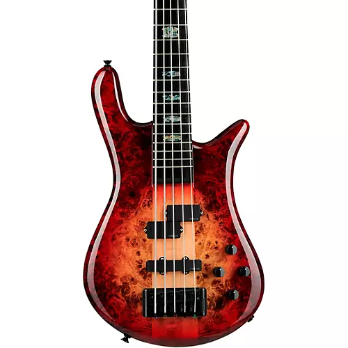 Spector Euro 5 Custom 5 String Electric Bass Natural Black Burst Gloss - musicians--Friend