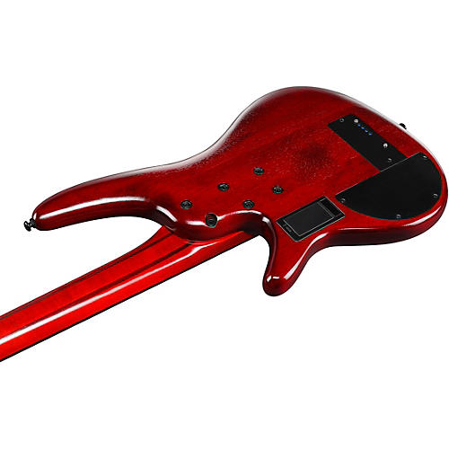 Ibanez SRD900F 4-String Fretless Electric Bass Guitar Brown Topaz Burst Low Gloss - musicians--Friend