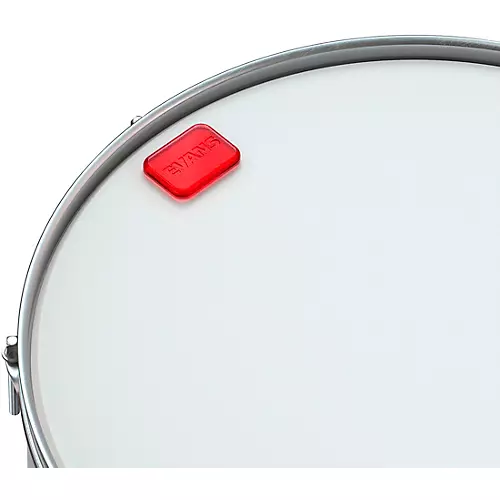 Evans EQ Pods - musicians--Friend