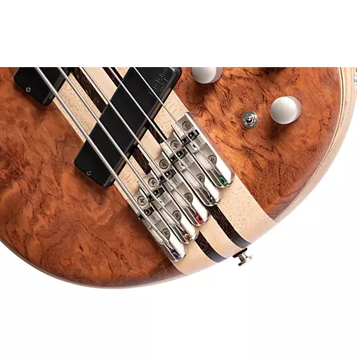 Cort Artisan A5 Beyond 5-String Bubinga Electric Bass Natural - musicians--Friend