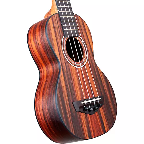 D'Angelico Premier Montauk CS Rosewood Soprano Ukulele Natural - musicians--Friend
