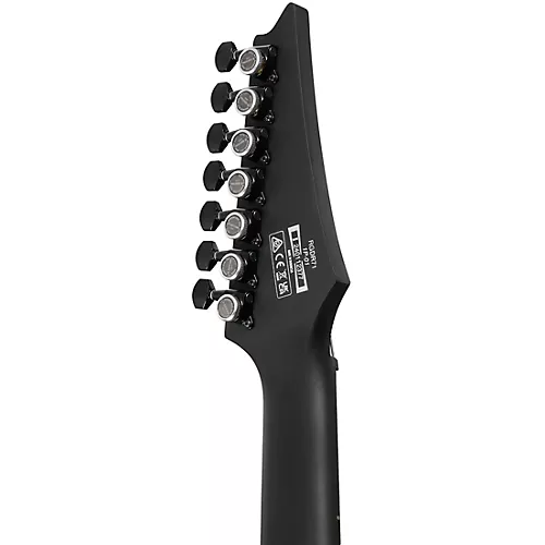Ibanez RGD Iron Label 7-String Electric Guitar Black Flat - musicians--Friend