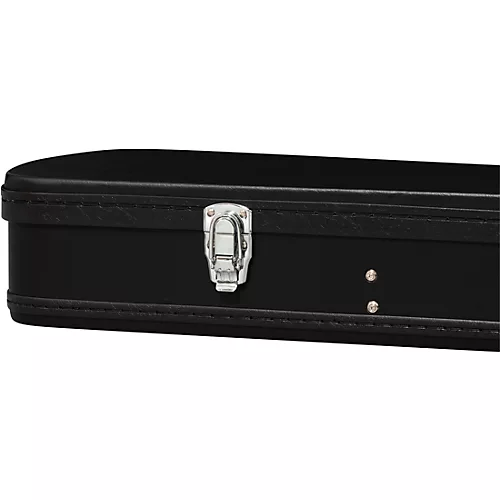 Epiphone Jack Casady Bass Guitar Case - musicians--Friend