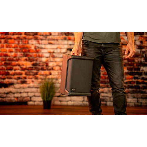 Peavey SOLO Battery-Powered PA - musicians--Friend