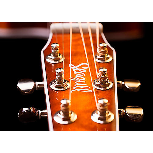 Seagull Performer CW CH Presys II Cutaway Acoustic-Electric Guitar Burnt Umber - musicians--Friend