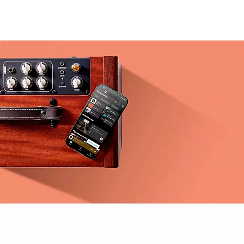 Circa 74 AV150-10 Acoustic Guitar and Vocal Amplifier With Amp Stand Mahogany - musicians--Friend