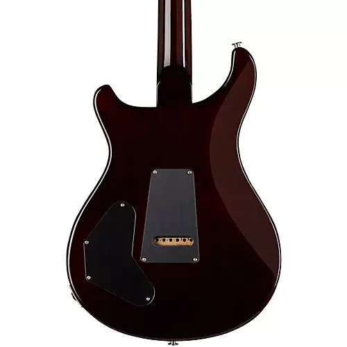PRS DGT With Birds Electric Guitar Gold Top - musicians--Friend
