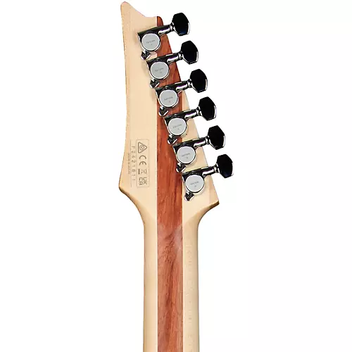 Ibanez JS2450 Joe Satriani Signature Electric Guitar Muscle Car Purple - musicians--Friend