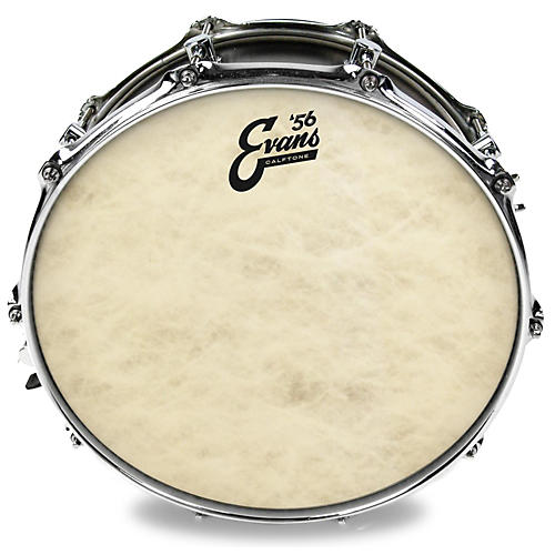Evans Calftone Drum Head 8 in. - musicians--Friend