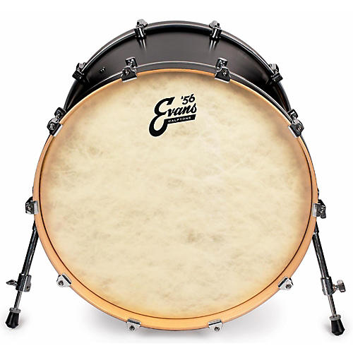 EVANS Calftone Bass Drum Head 18 in. - musicians--Friend