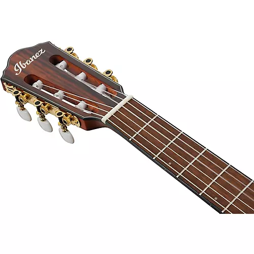 Ibanez FRH10N Nylon-String Acoustic-Electric Guitar Rose Gold Metallic Flat - musicians--Friend