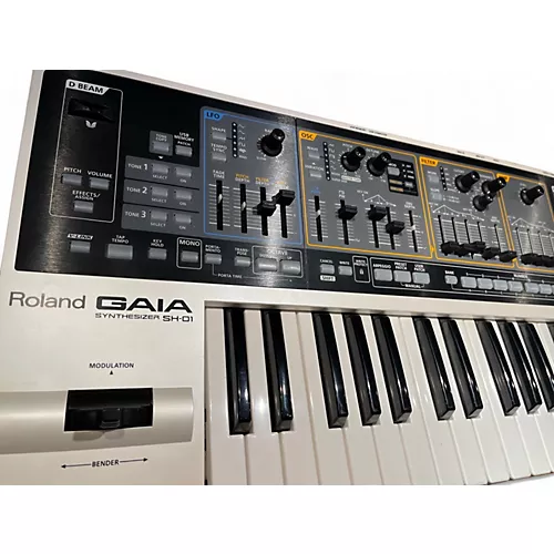 Used Roland GAIA - musicians--Friend