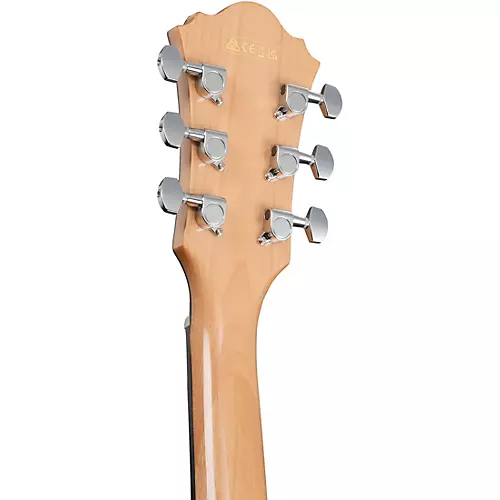 Ibanez AE170 Grand Auditorium Acoustic-Electric Guitar Natural - musicians--Friend