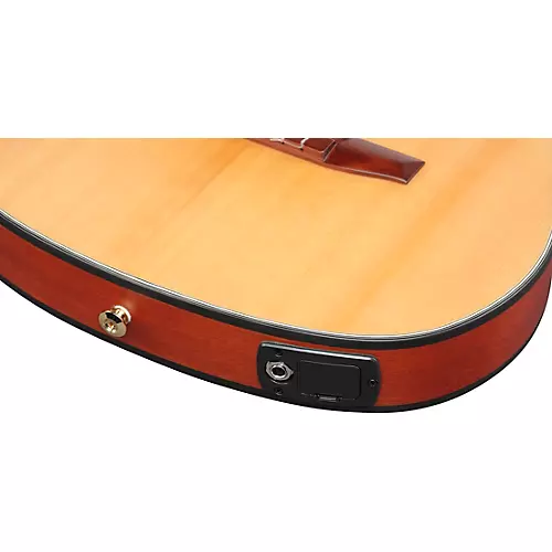 Ibanez FRH10N Nylon-String Acoustic-Electric Guitar Rose Gold Metallic Flat - musicians--Friend